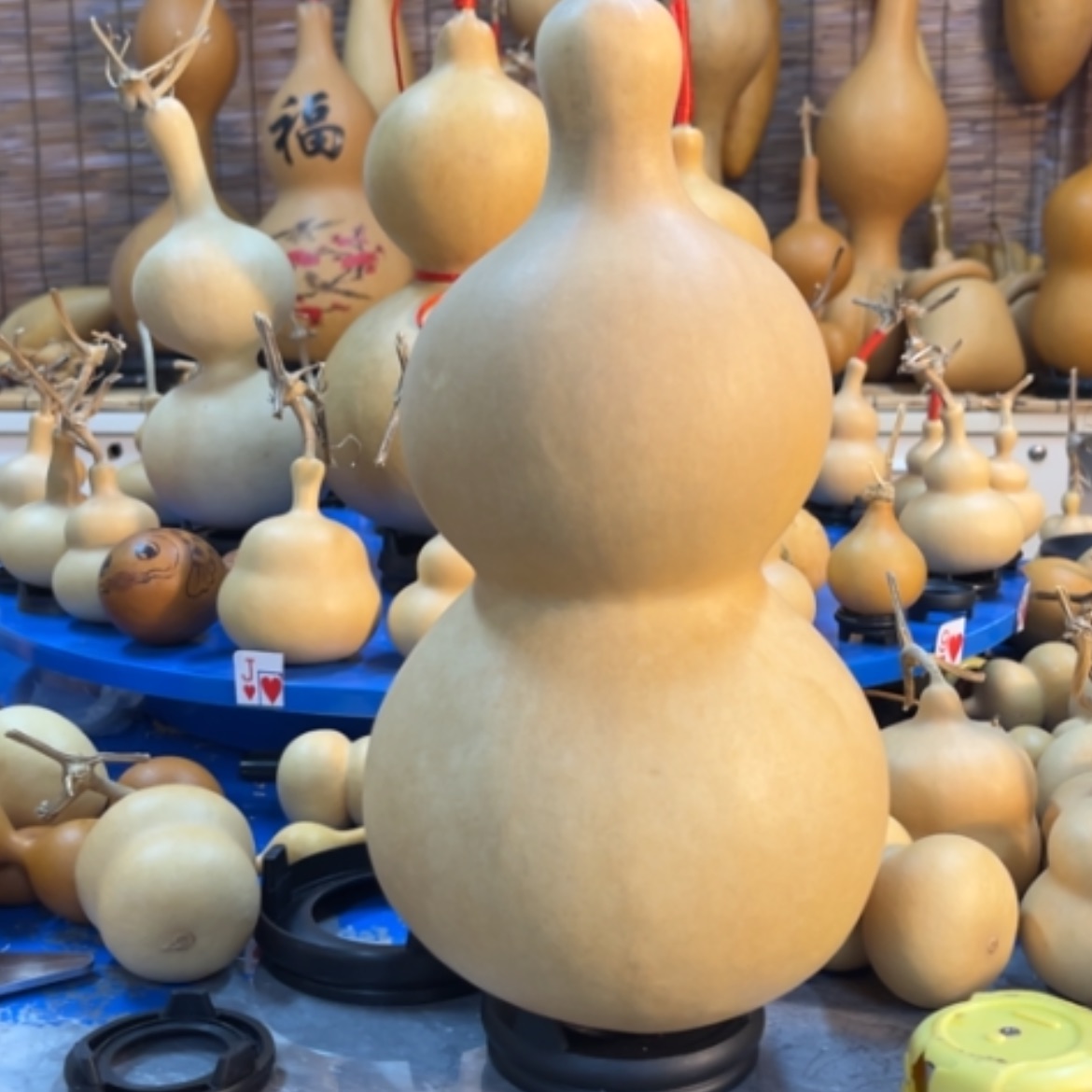 【闪购商品】大**?他他他他他他他他他他