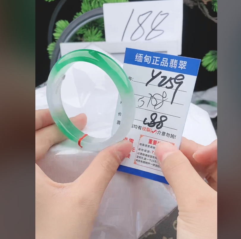 Y259【正品 缅甸翡翠】实物以直播间为准微色差