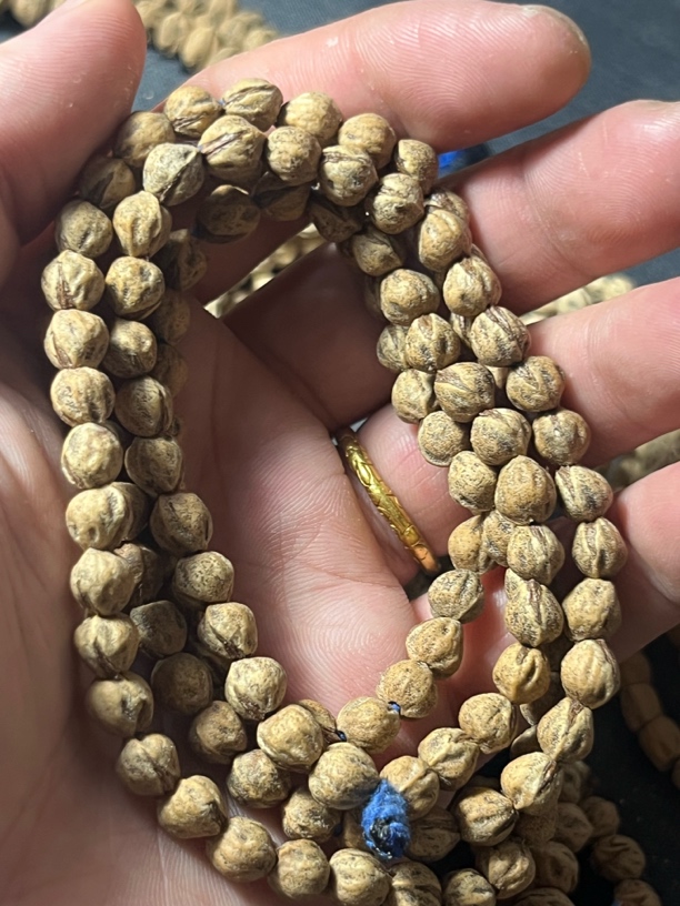 热振百香籽 红芽铁籽 原装