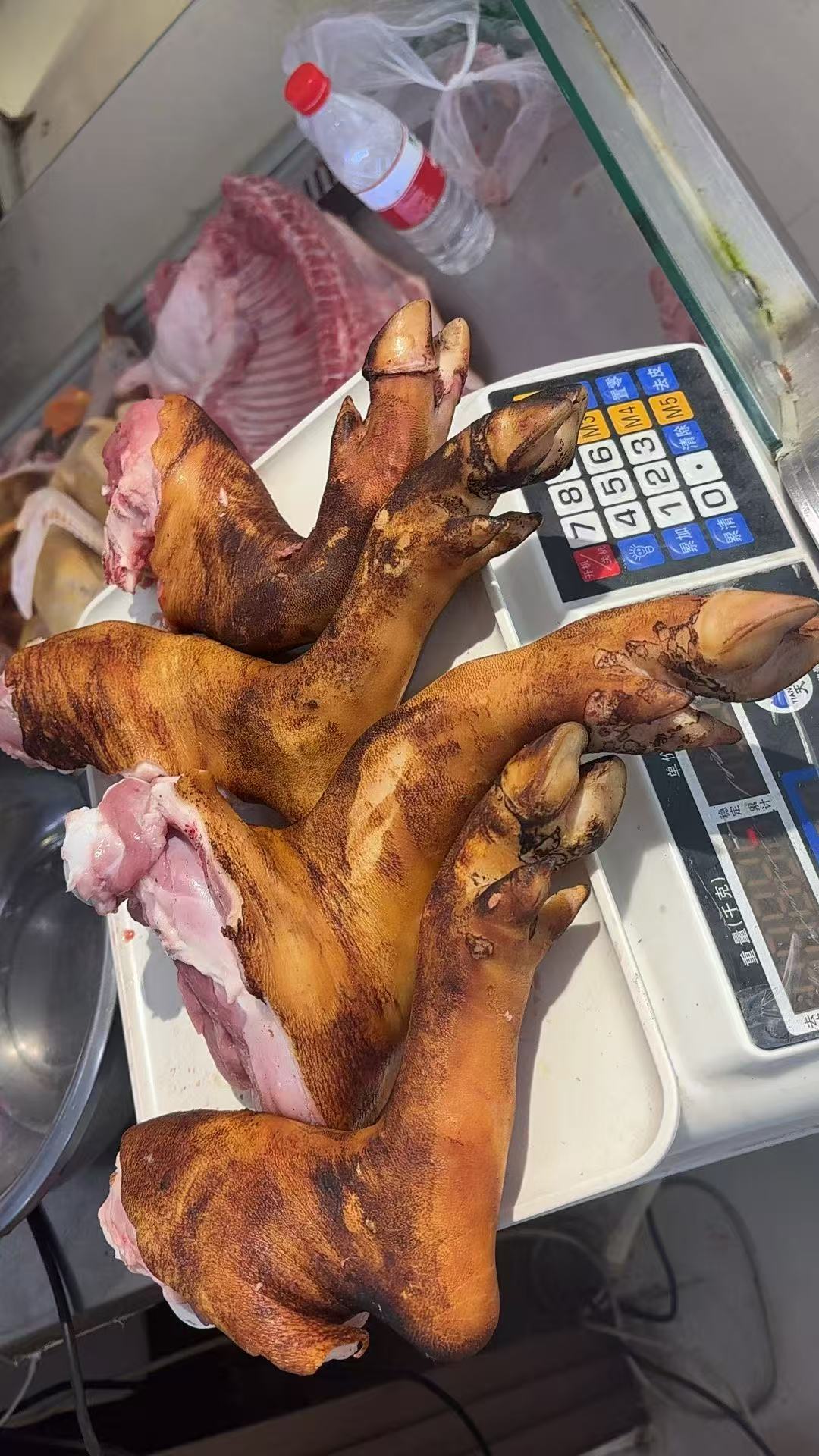 本地放养黑毛藏香猪