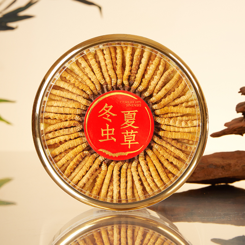 【虫草弟5166】高海拔虫草王-冬虫夏草100根 高端礼盒送礼自用