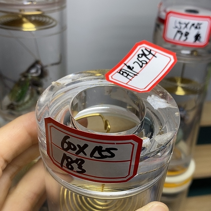 蝈蝈60-155单蝈蝈用户2694