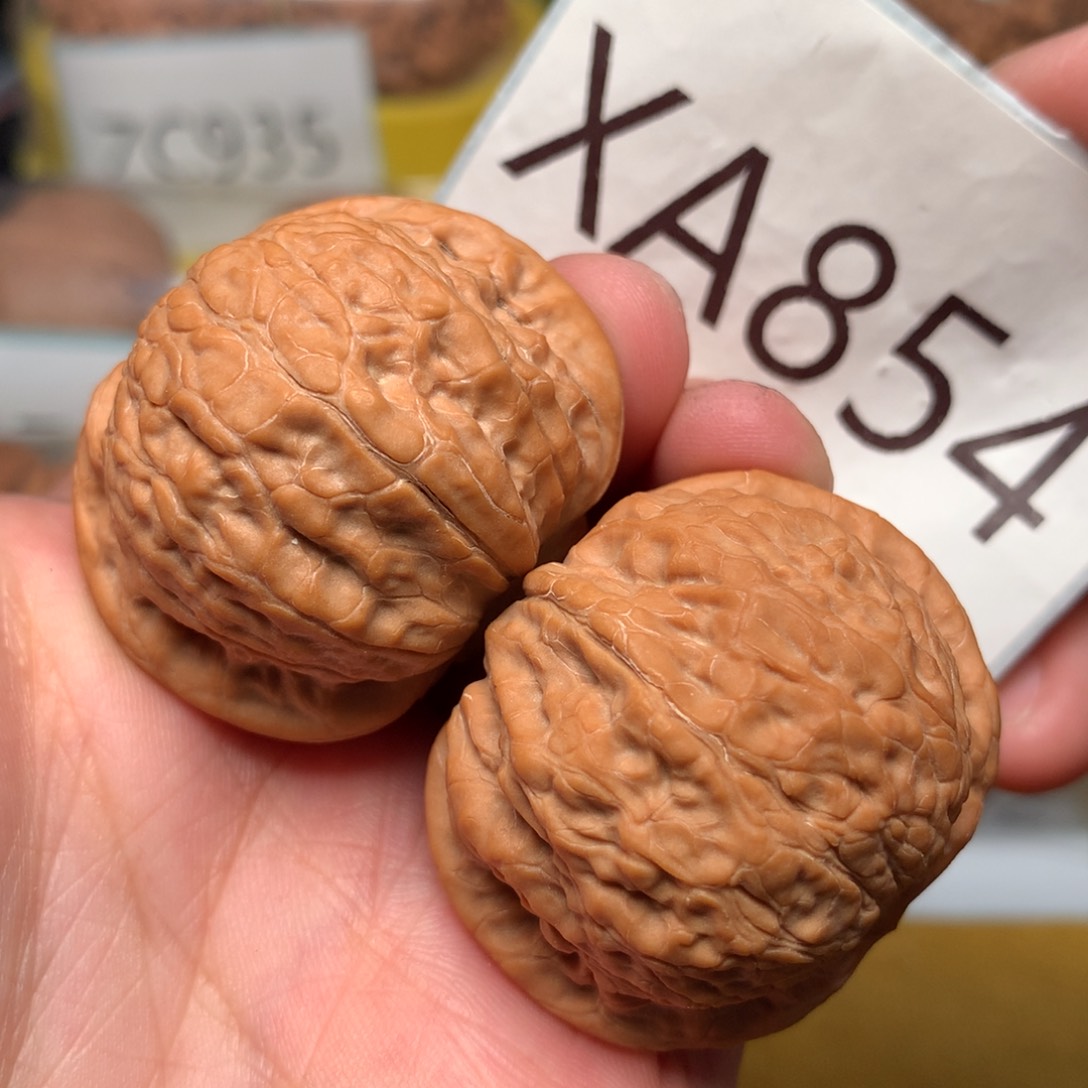 文玩核桃把件毕业肉球乾隆磨38