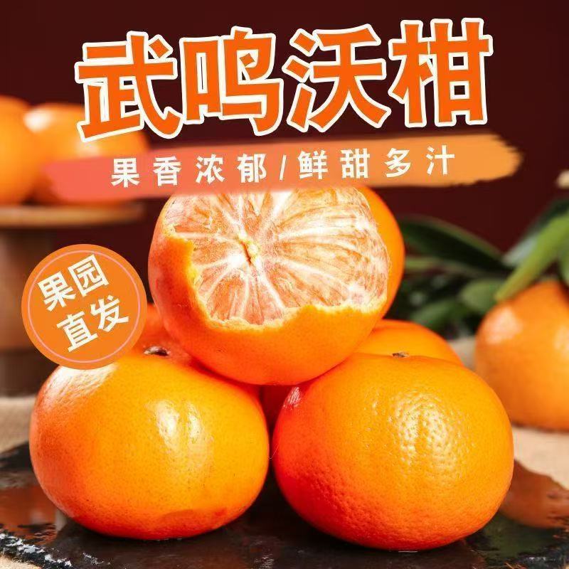 正宗广西武鸣沃柑热带新鲜孕妇水果甜蜜多汁桔橘橙果园直发包邮
