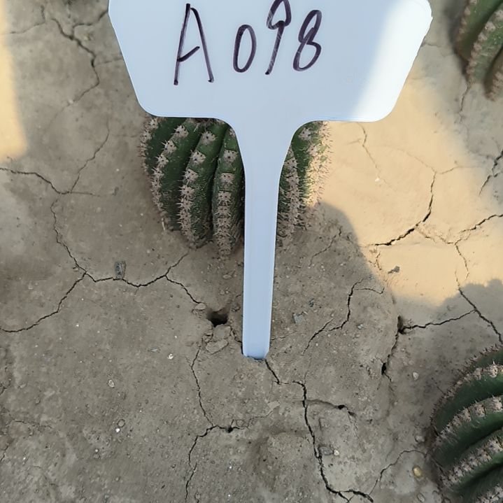?**我河岸瑕疵无售后
