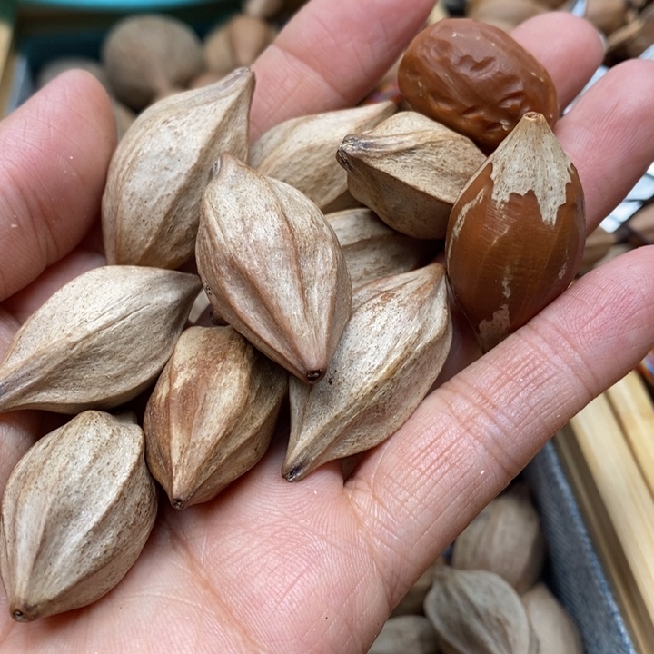 吊坠橄榄核?**?一斤