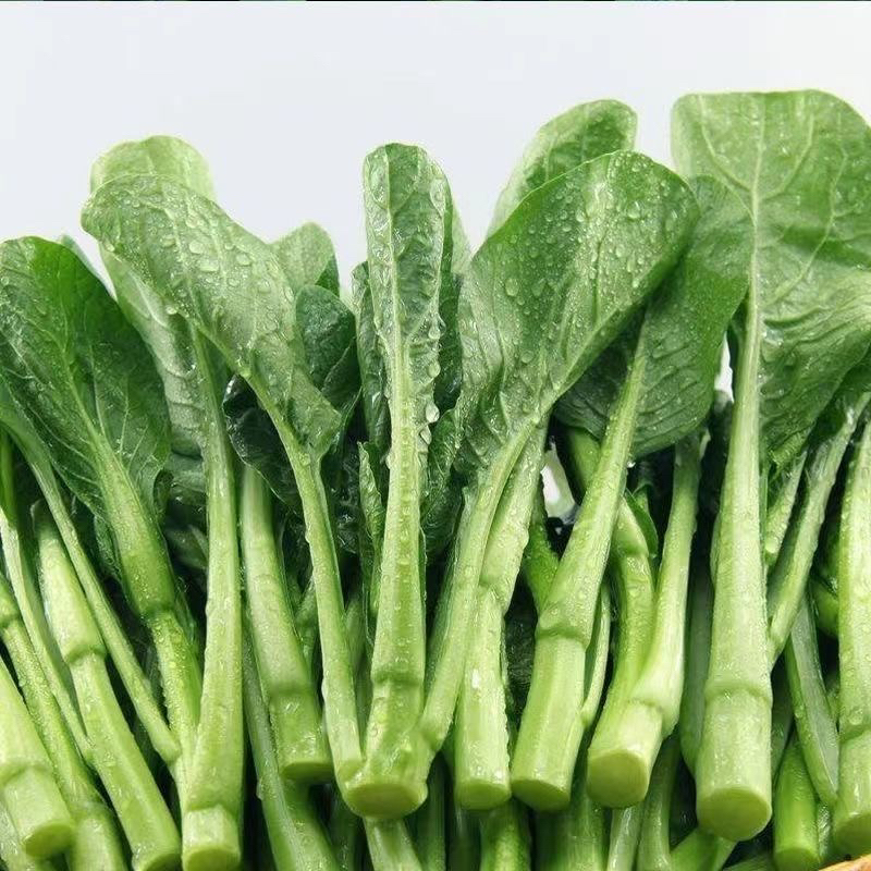 【众旺农场】菜心 新鲜采摘 2/3斤 顺风快递送货上门菜心