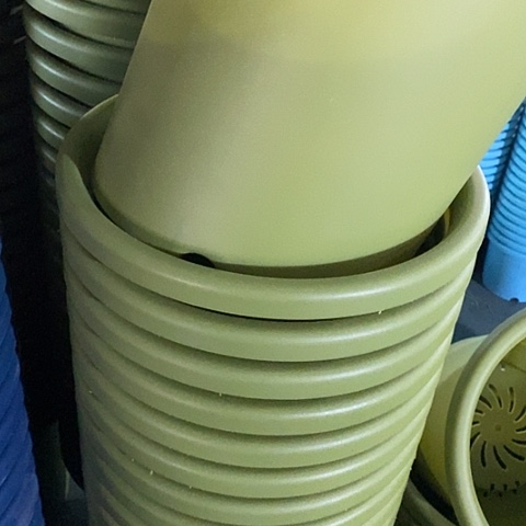 树脂四季7号微瑕果绿无托6个