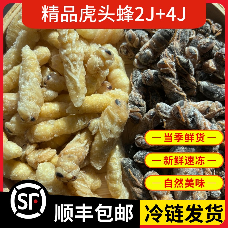 虎头蜂2+4蜂蛹新鲜冰冻马蜂金环虎头蜂地蜂土蜂出售鲜活马蜂蛹