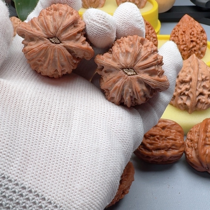 核桃精品41尺山地磨盘