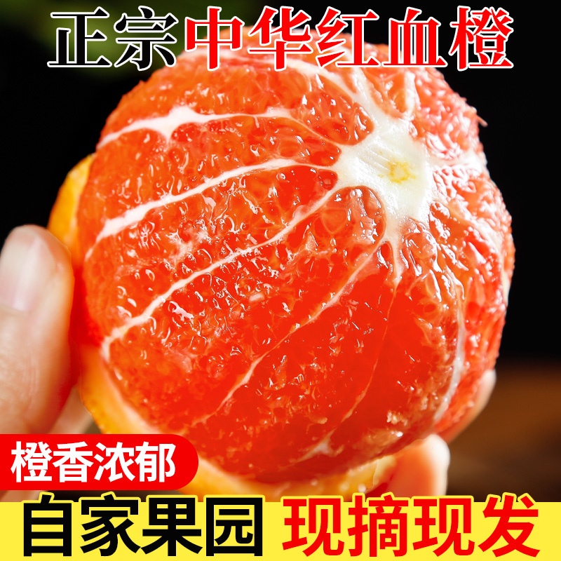 秭归中华红血橙正宗红橙时令橙子水果高山当季新鲜酸甜多汁现摘