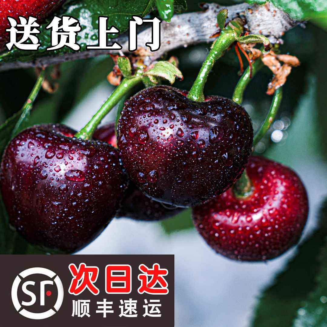 山东烟台美早樱桃J-5J,3斤5斤升级发货美早樱桃