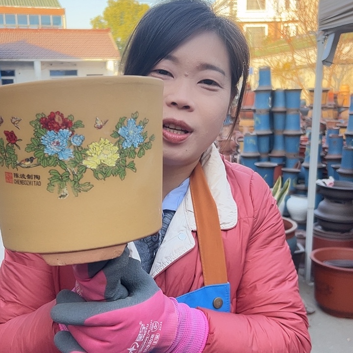 黄色花开富贵小一个花盆花盆花盆