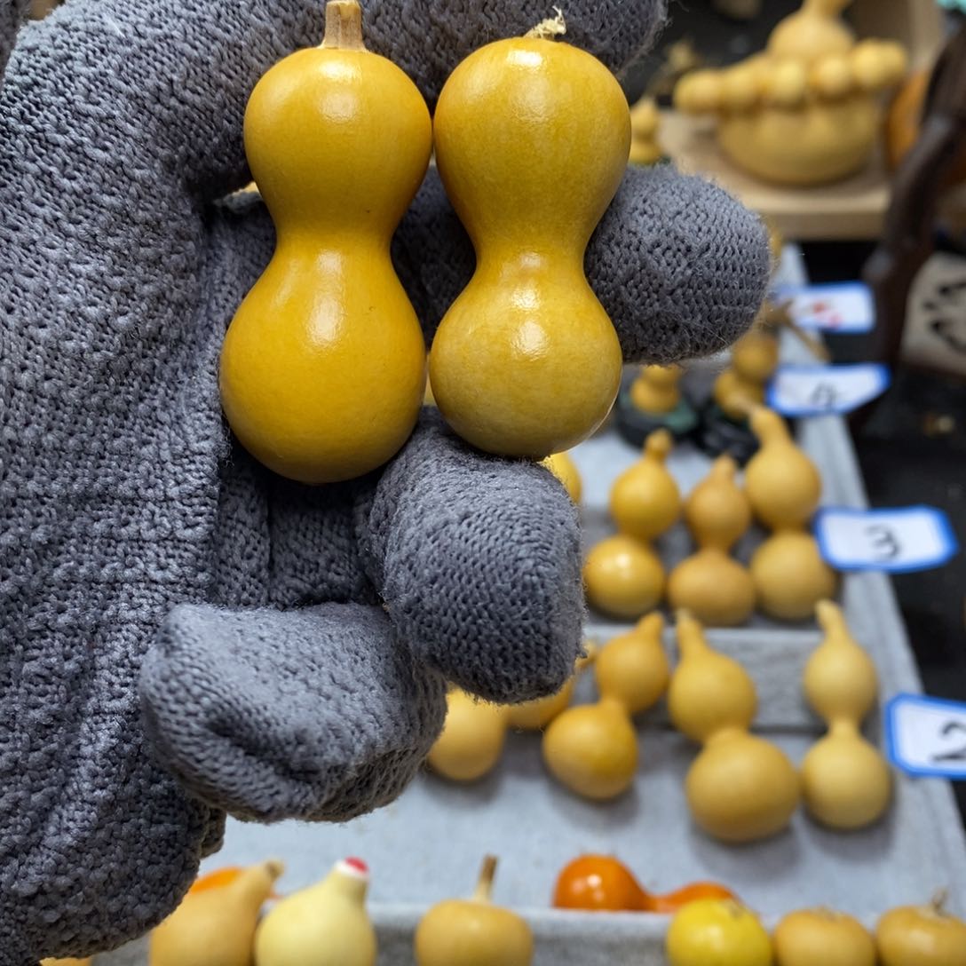 有***子直播间手把小葫芦