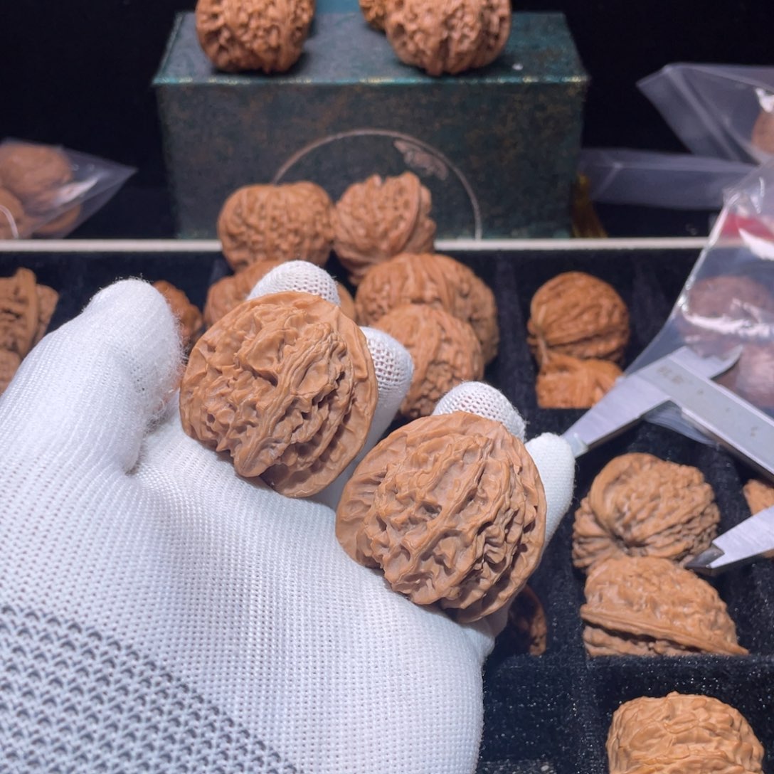 核桃41原桩苹果园