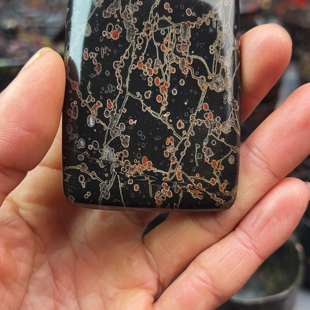 梅花玉茶周边配套