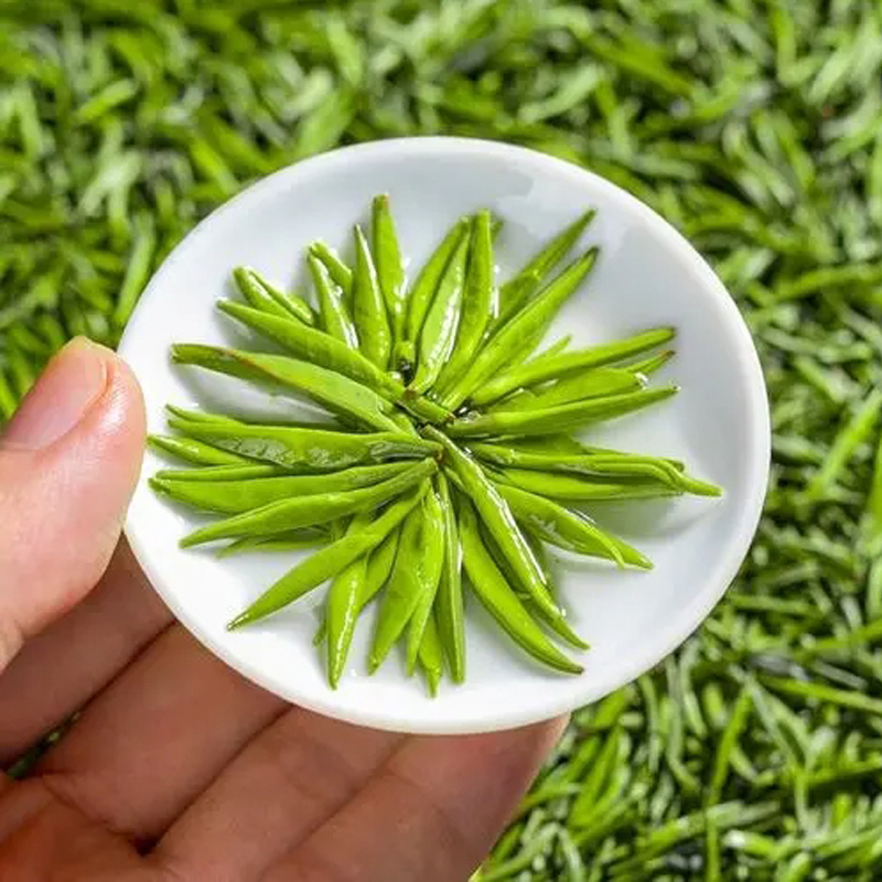 【头采金芽】2025新茶明前头采嫩芽全芽头型高山浓香型绿茶250g
