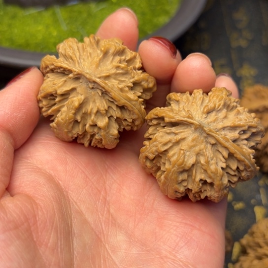 文玩核桃把件明***烂秦岭核桃10