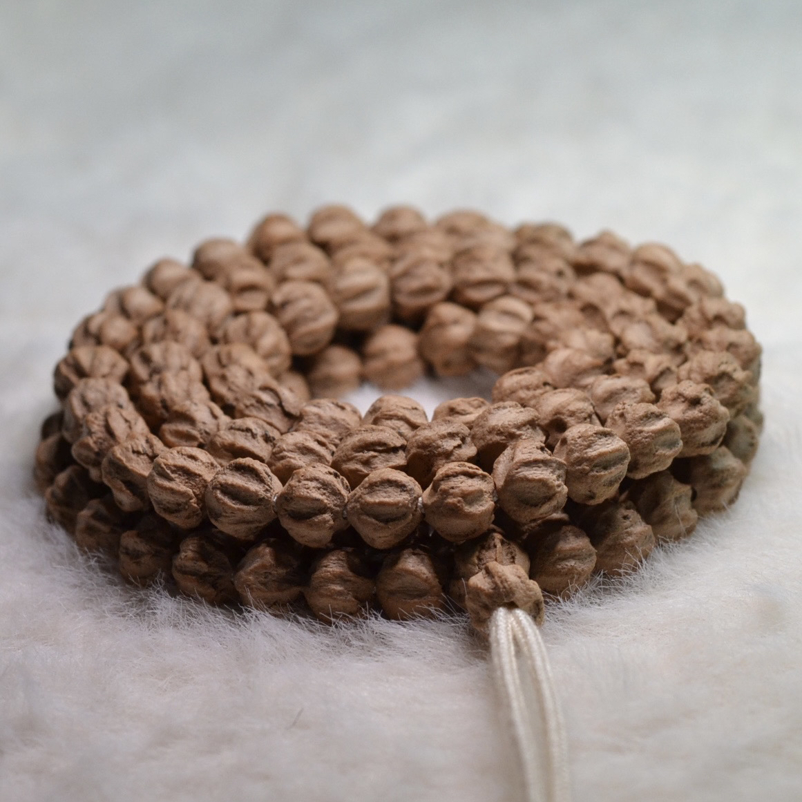 柏香籽热振纯原桩红麻皮莲花 8+