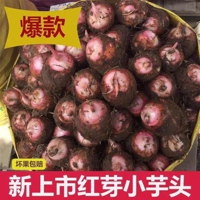 芋头新鲜香芋软糯红芽芋新鲜正宗金华农家毛芋香芋现挖芋艿蔬菜