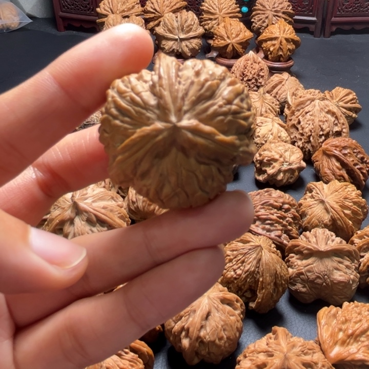 翔白狮子三棱36尺寸单只核桃哈哈哈哈哈