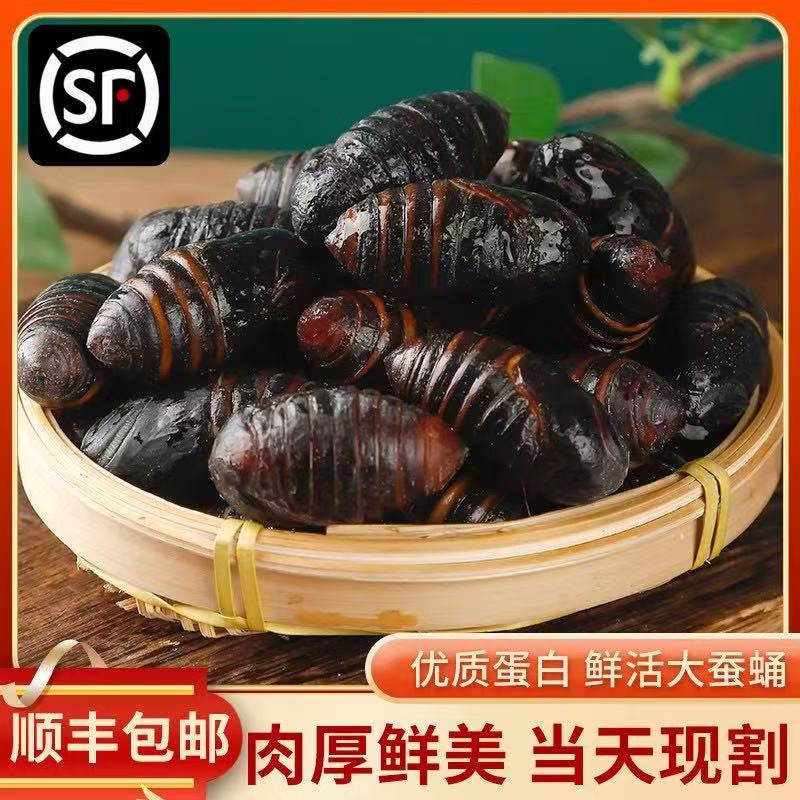 2025年新蛹 东北特产 （西丰）柞蚕蛹活蛹产地直发顺丰,京东包邮