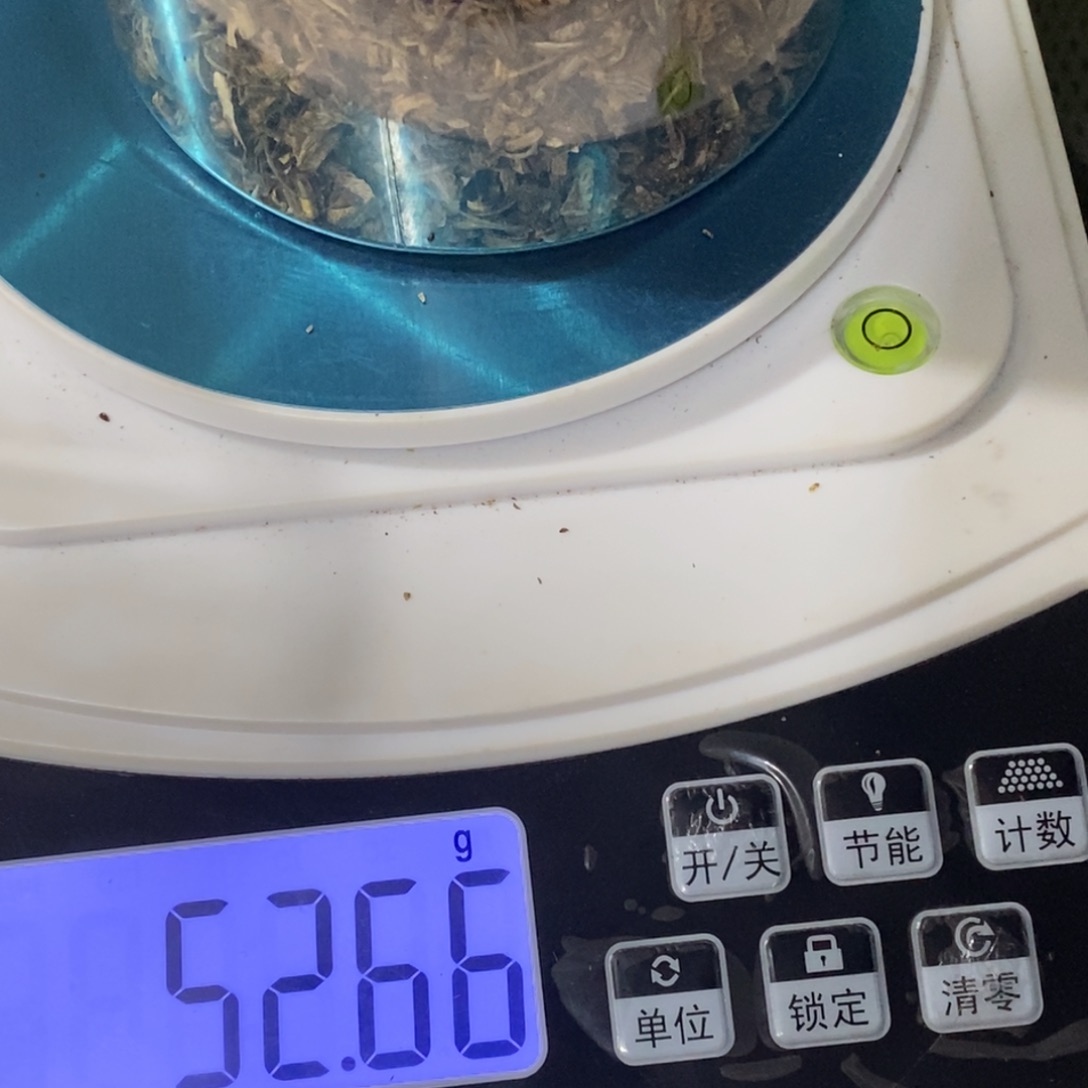 一***v沉香沉香碎屑虎斑紫奇树钉勾丝
