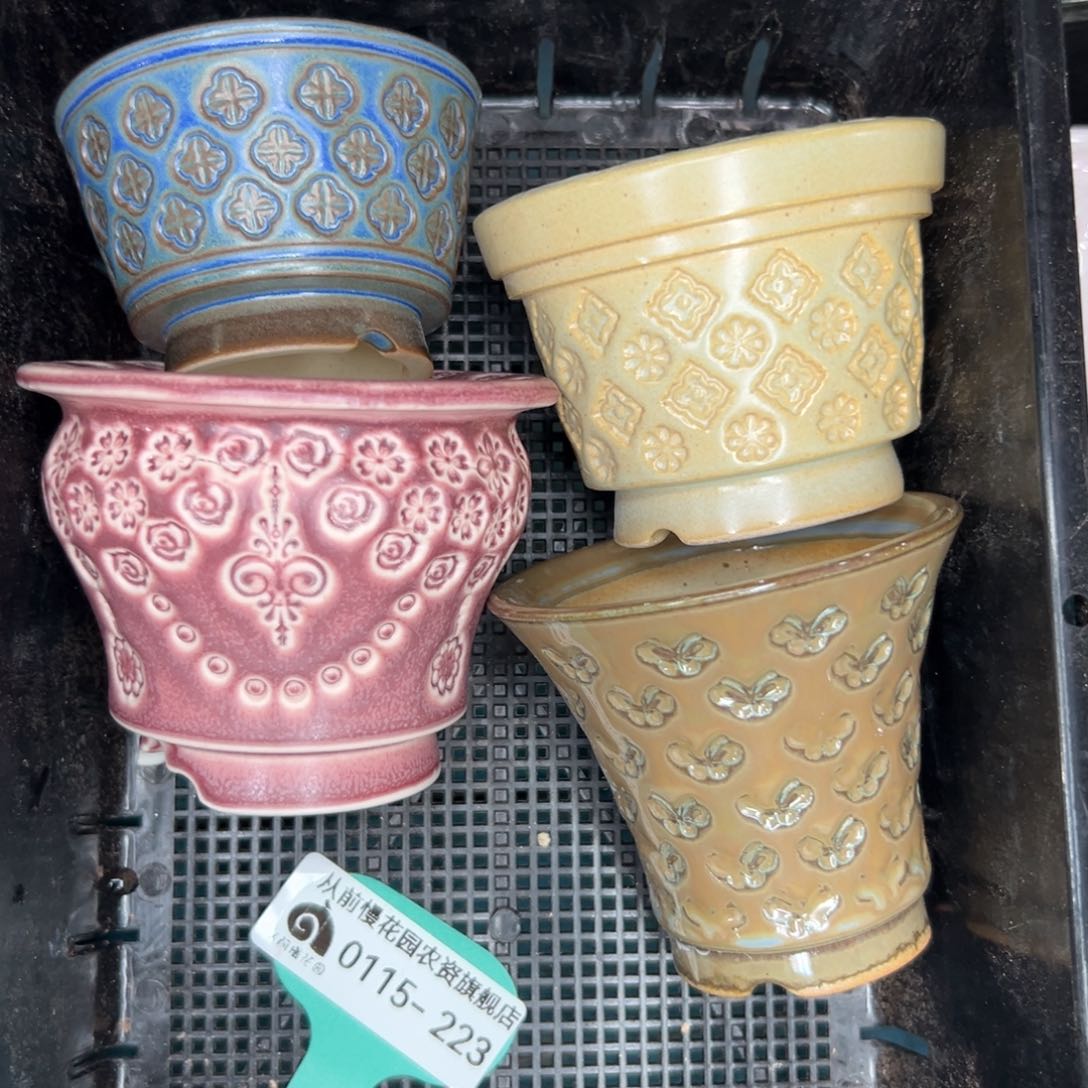 多肉一物一拍0115/223