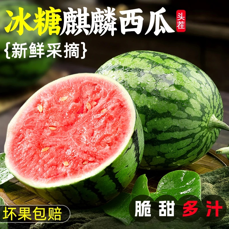DDP【正宗西瓜】 正宗麒麟瓜西瓜薄皮脆甜红瓤有籽和无籽随机