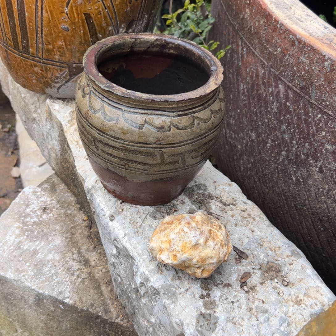 三***季陶瓷种花一物一拍包邮