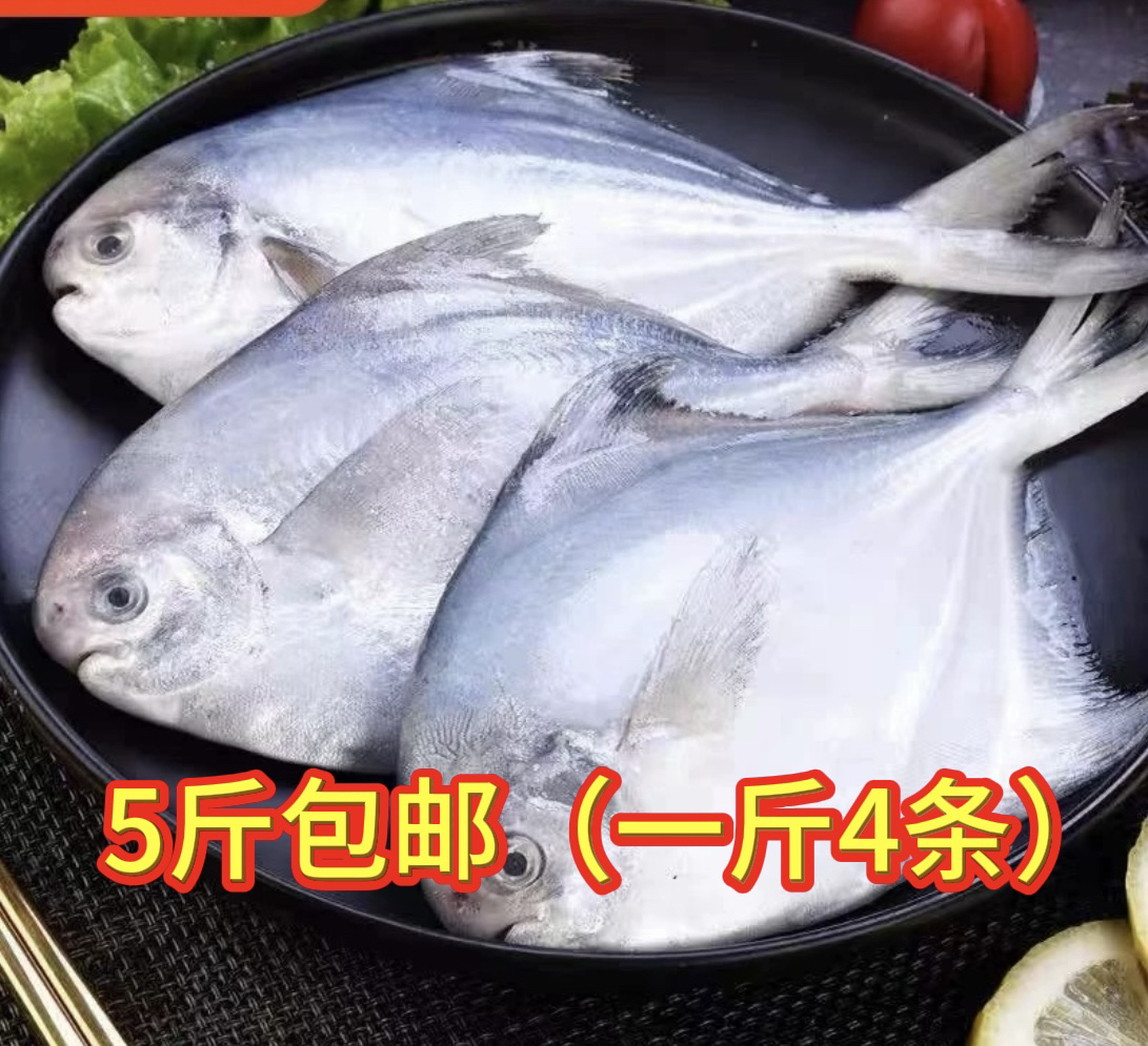 新鲜银鲳鱼 5斤（一斤4条）液氮锁鲜发货