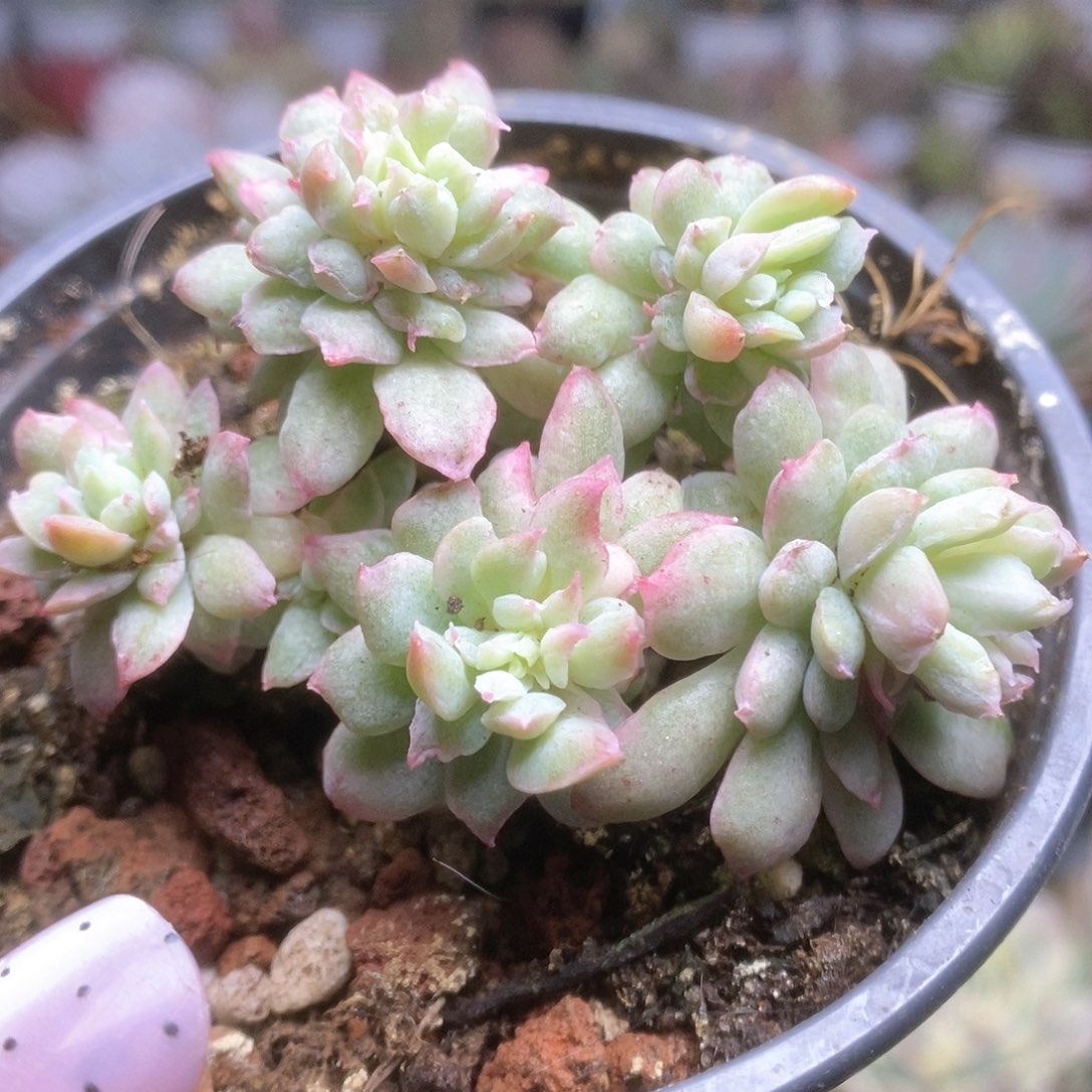 D032哈哈哈哈哈哈哈哈哈