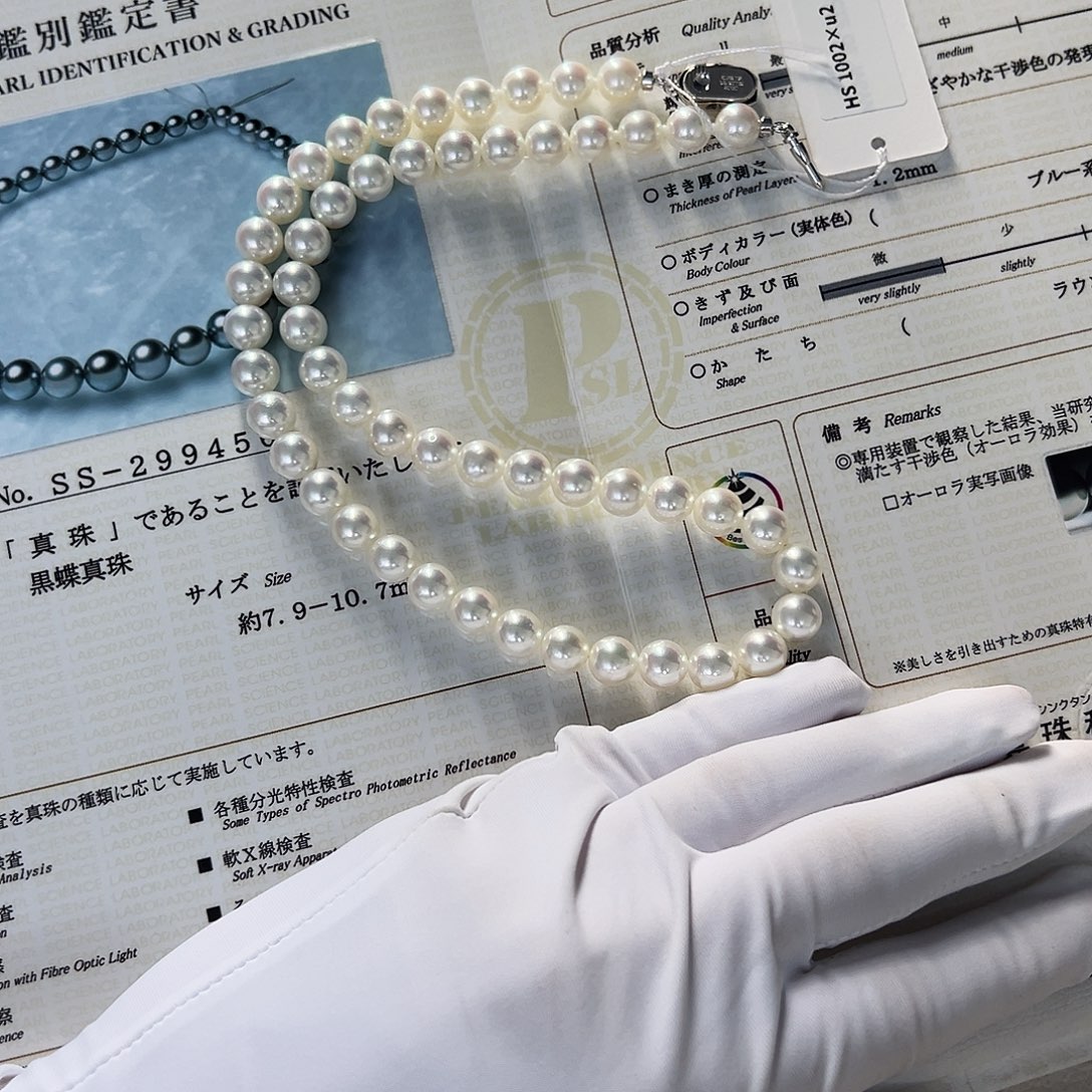 一***貂海水珍珠颈饰未镶嵌hs1002