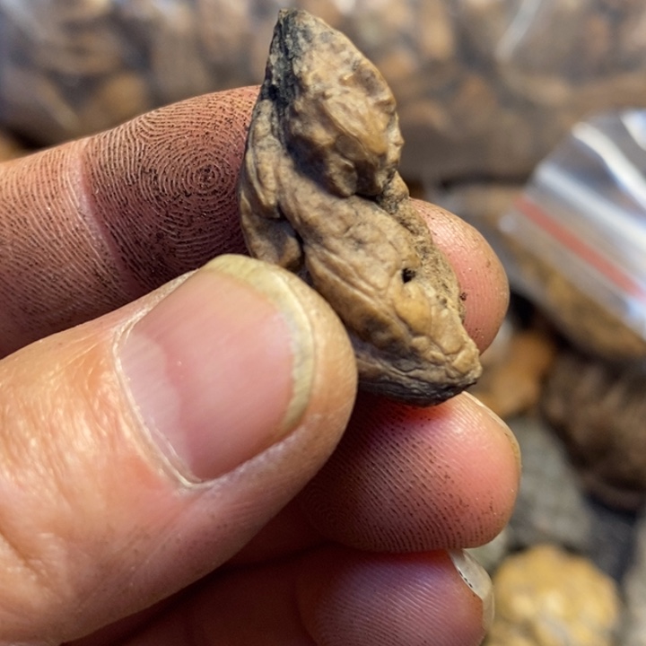 文玩核桃吊坠东北特产125