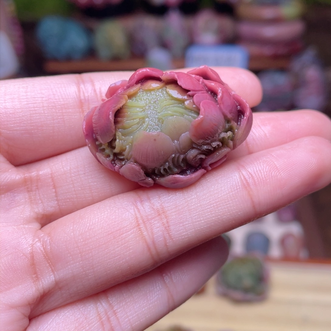 玛瑙/玉髓珠宝半成品未镶嵌A*y盐源玛瑙西瓜牡丹花