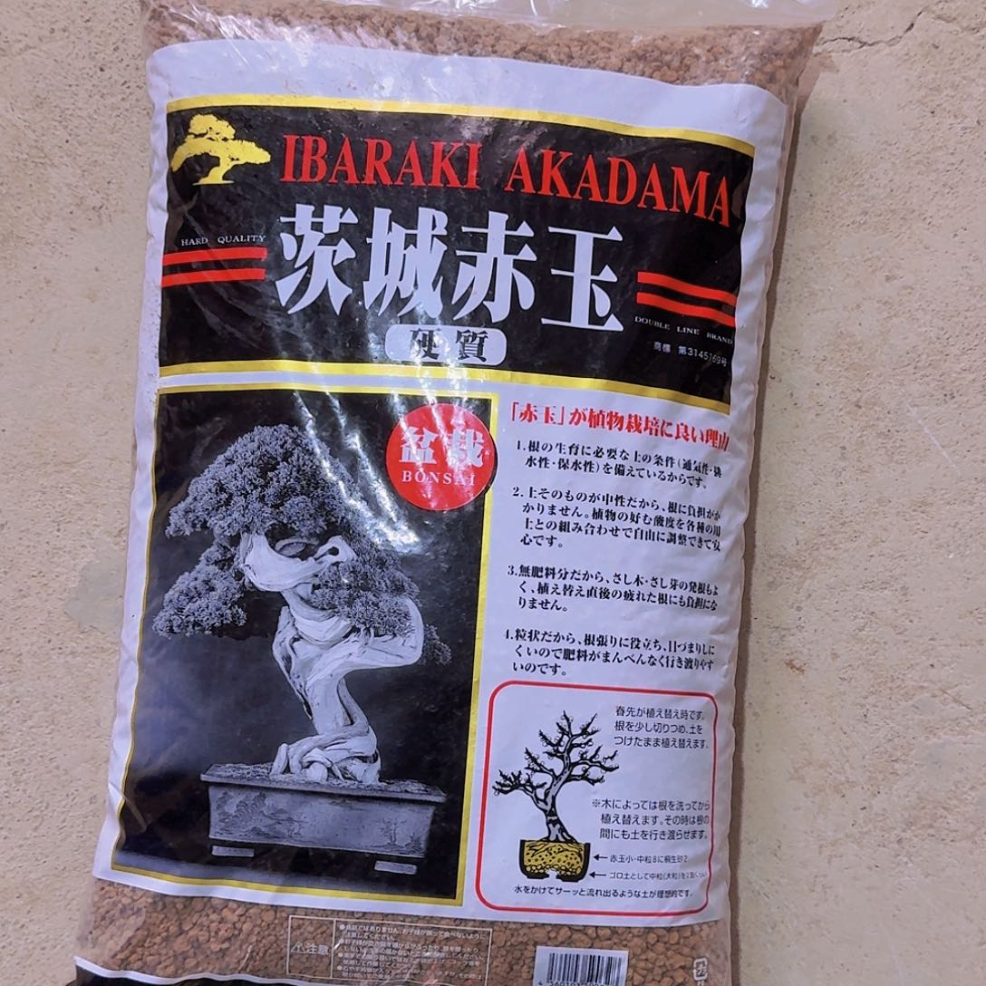 茨城3-6一袋 （新疆 西藏青海只发一斤）