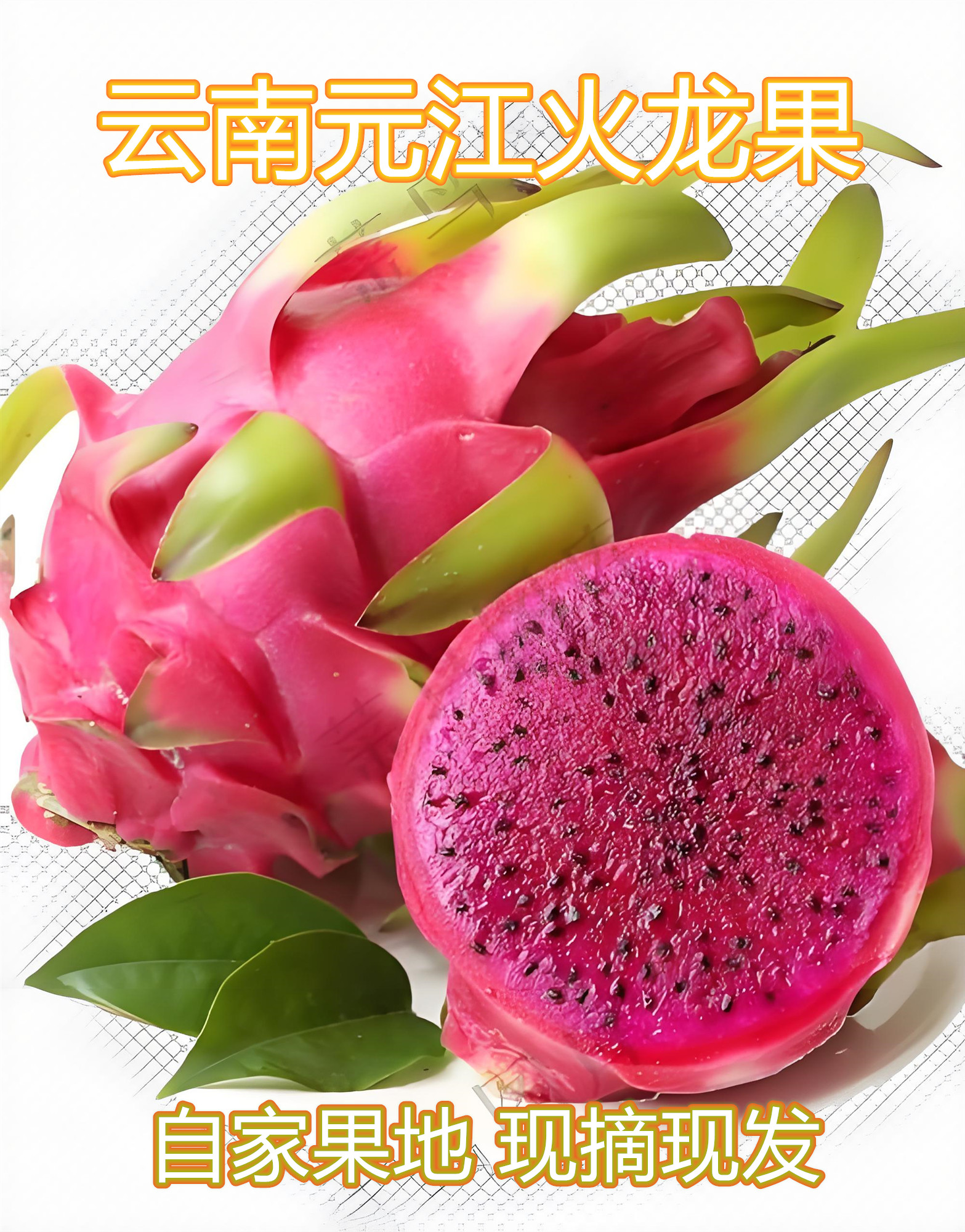 元江新鲜现摘 红心京都1号火龙果 当季热带水果 爆甜多汁低糖低卡