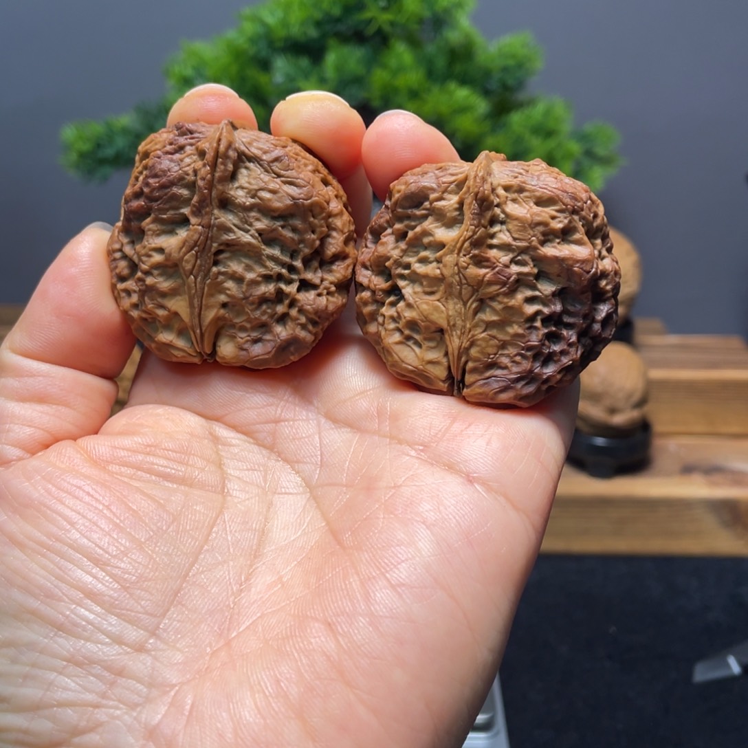 老***板把件文玩核桃云南铁核桃6对