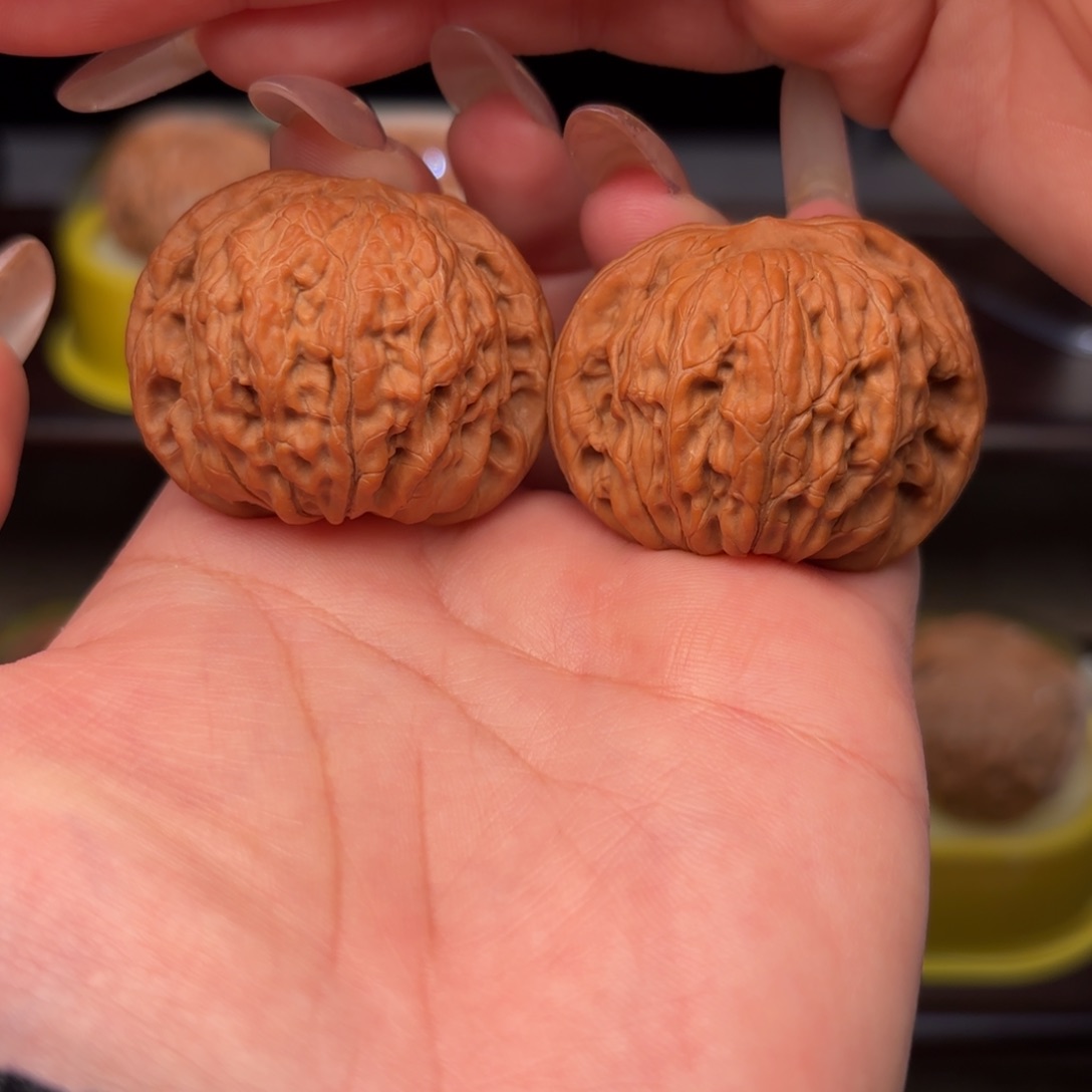 40 尺全品无修山地正磨红皮同树果