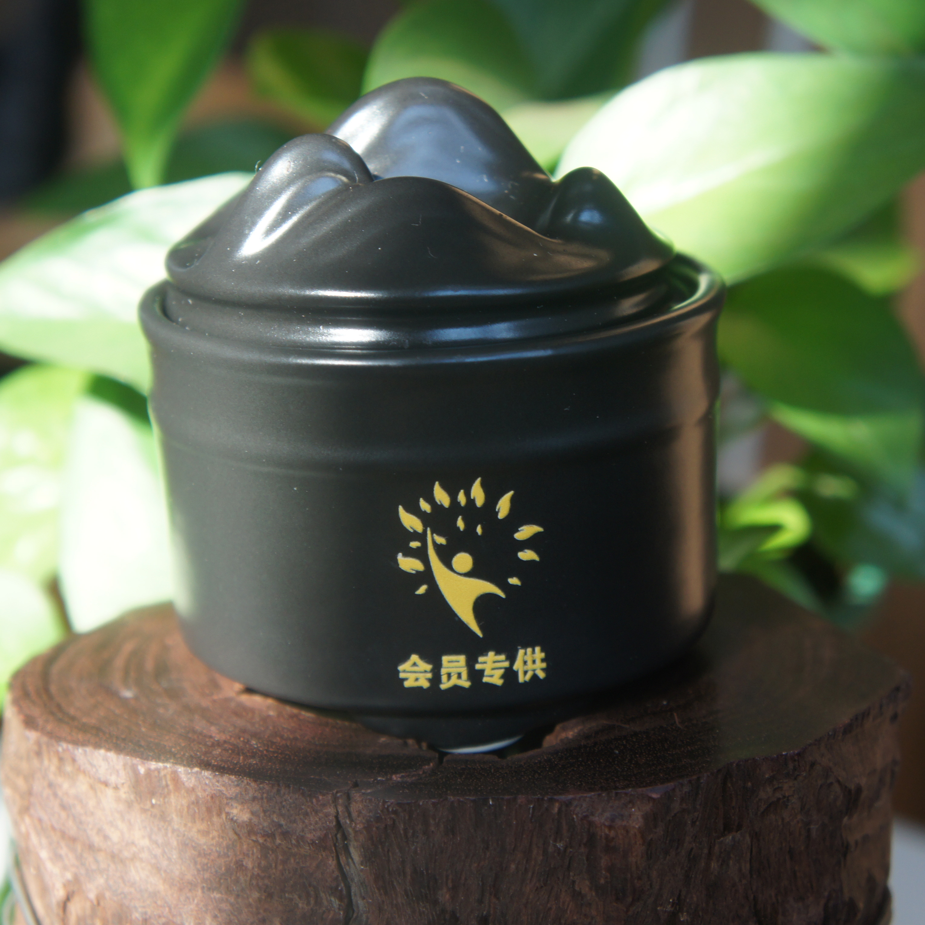 千里木品牌家用式香炉会员版