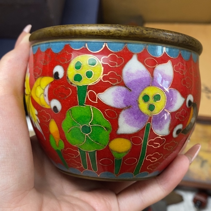 鸿***頭如图所示所拍即所得