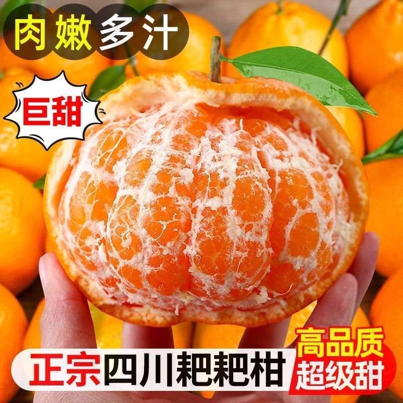 正宗四川春见耙耙柑橘当季新鲜水果粑粑柑丑橘子产地直发整箱包邮四川省