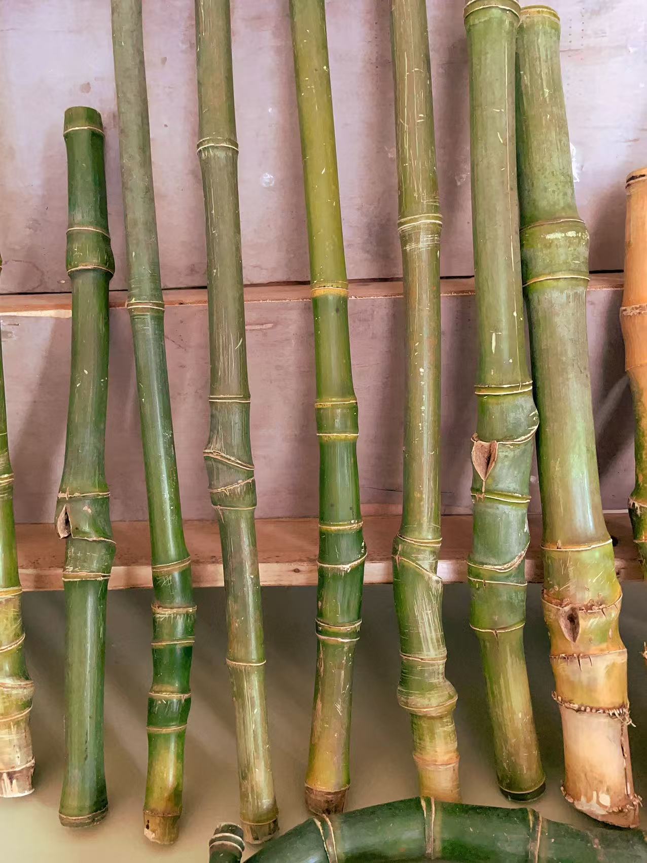 直播间专属链接实心竹文玩把件玉竹原材料