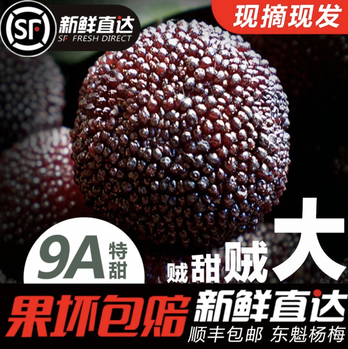 【9A】救命！东魁杨梅！这个夏天必须锁死的爆汁乒！