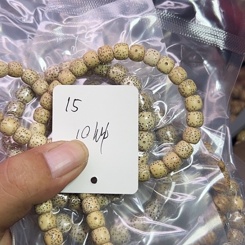 吊坠星月菩提15号