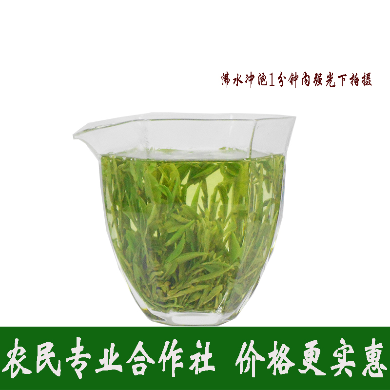 50g袋装绿杨春2025茶叶扬州特产绿茶头春头采绿阳春好喝的聚源春