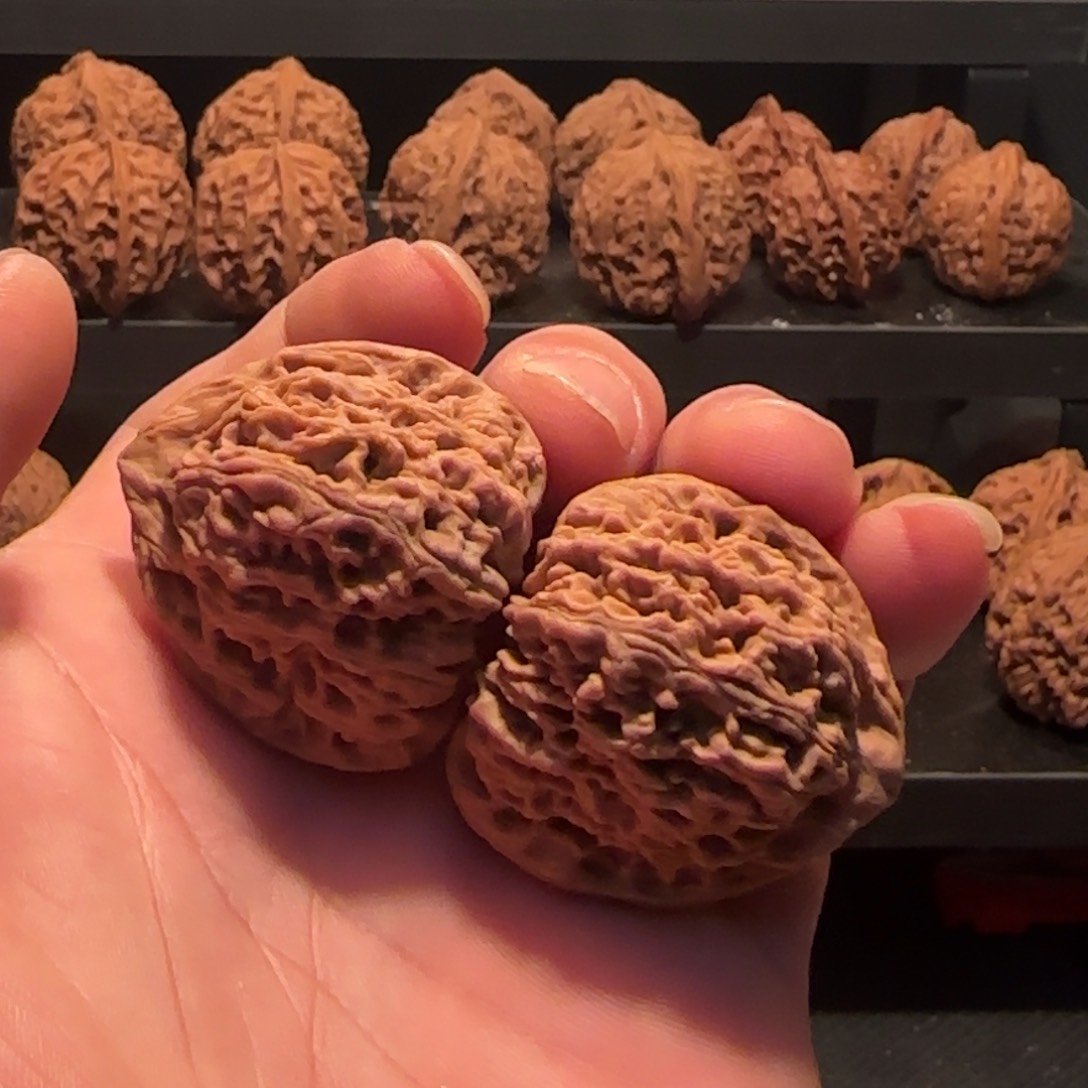 桃核把件涿鹿南疆石38