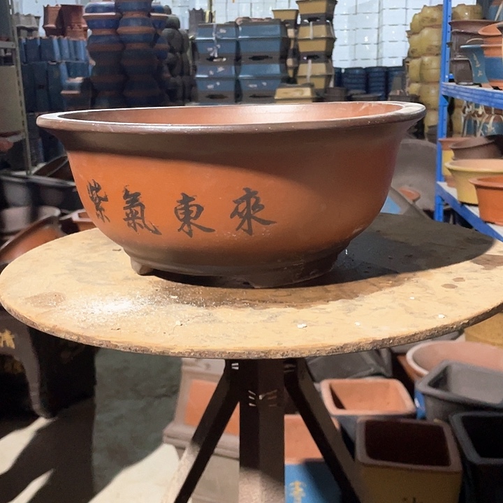 小红花盆花盆花盆花盆