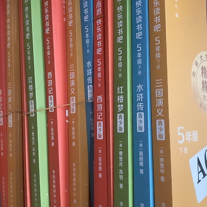 五年级快乐读书吧，五本，瑕疵数