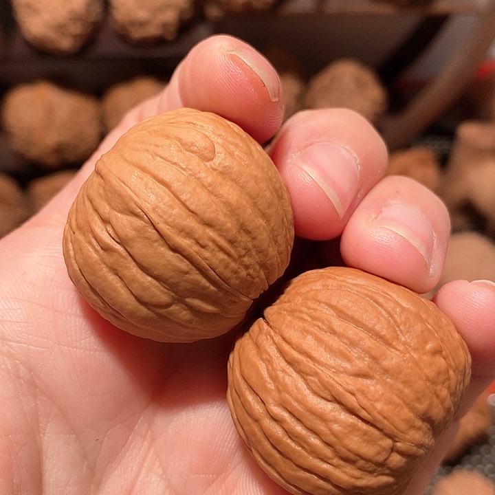 文玩核桃吊坠32尺小猴头元宝，高差尺